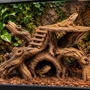 Puede incluir: Un refugio para reptiles de resina marrón con forma de tocón de árbol hueco, con una plataforma superior plana y una pequeña escalera adjunta. La estructura presenta una abertura tipo cueva en la base y una superficie con textura de corteza.
