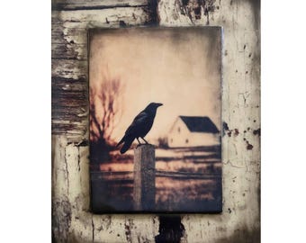 Crow on a Fence Encaustic Art Print (8x10)