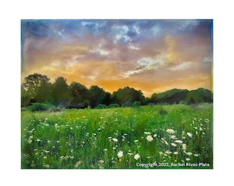 Encaustic Photography Meadow Landscape Photo with Clouds Summer Sunrise Beeswax Art Living Room Art Wall Decor Nature Peaceful Office Decor