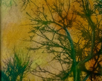 Abstract Tree Branches Encaustic Cyanotype Art | Suncaustic™ Linen Paper (8x10 Mat)