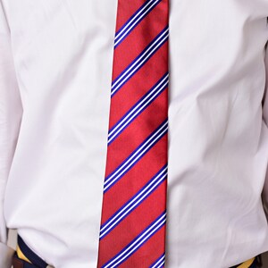 Taiwan Tie 3.25 Inspired by the Taiwanese Flag Taiwan Necktie LDS Missionary NOT Personalized image 3