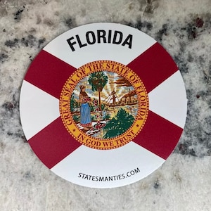 Florida FL Vinyl Aufkleber - 3&quot; - 6 mil - Wasserflasche Laptop Auto Automobile - Inspiriert von der Florida Flagge Geschenk LDS Mission