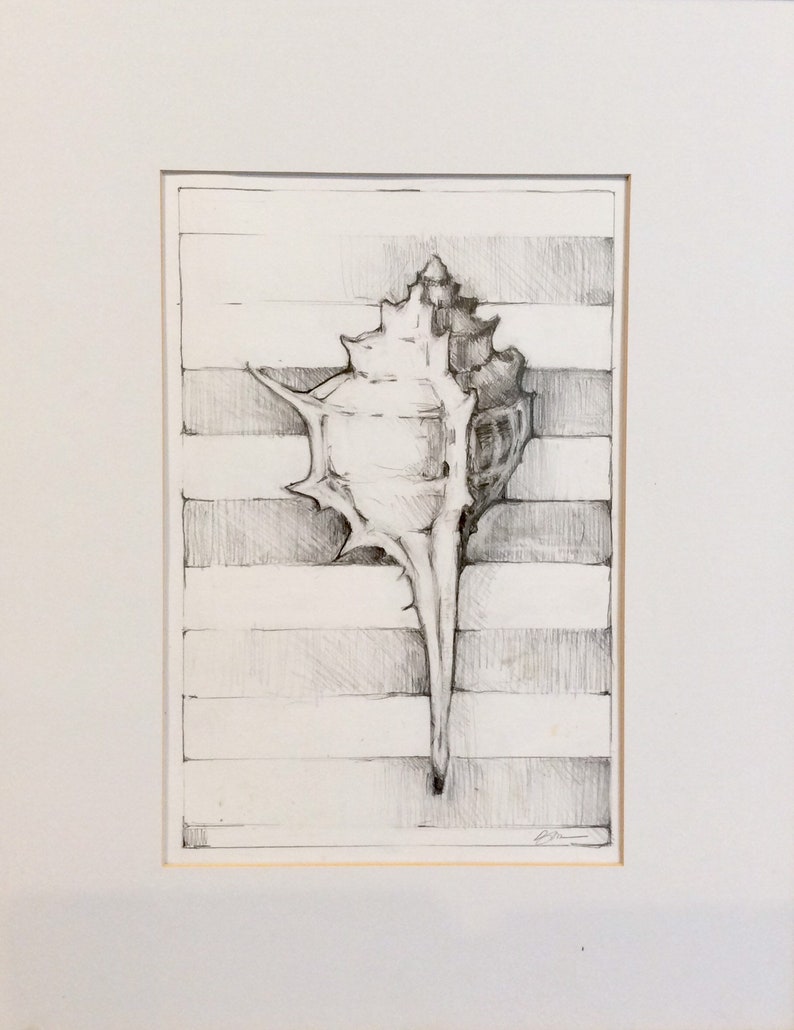 Nature Drawing No 6