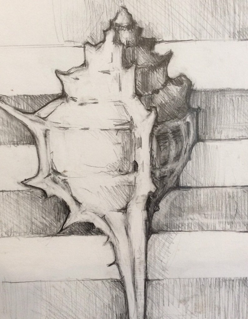 Nature Drawing No 6