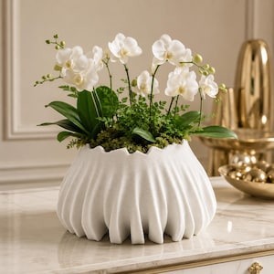 Può includere: Un vaso bianco a forma di ciotola con una superficie scanalata e testurizzata, contenente diversi steli di orchidee bianche con foglie verdi e piccoli boccioli. La pianta di orchidea è adagiata su del muschio di colore verde.