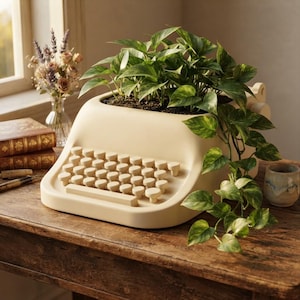 Può includere: Un vaso color crema a forma di macchina da scrivere contenente una rigogliosa pianta di pothos verde con viticci ricadenti. Il vaso presenta una disposizione dettagliata della tastiera con tasti arrotondati e una finitura liscia e opaca.