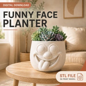 Funny Character Plant Pot 3D STL File | Whimsical Expressive Head Planter | Cute Cartoon Succulent Pot Digital Download for 3D Printing