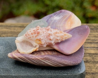 Seaglass and Seashell Incense Holder