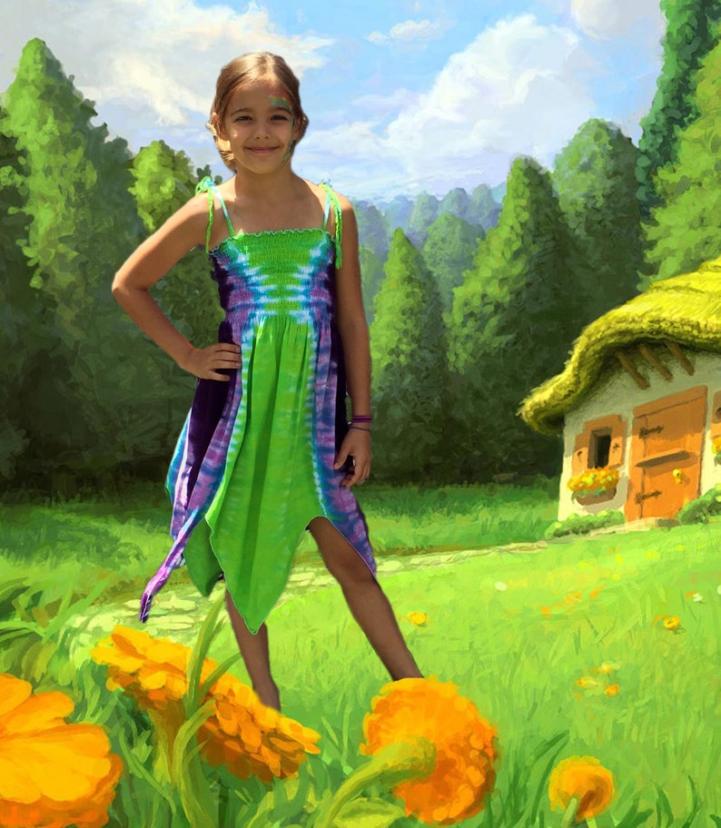 Fairy Costume for Youth and Adults Purple and Green Fairie Dress