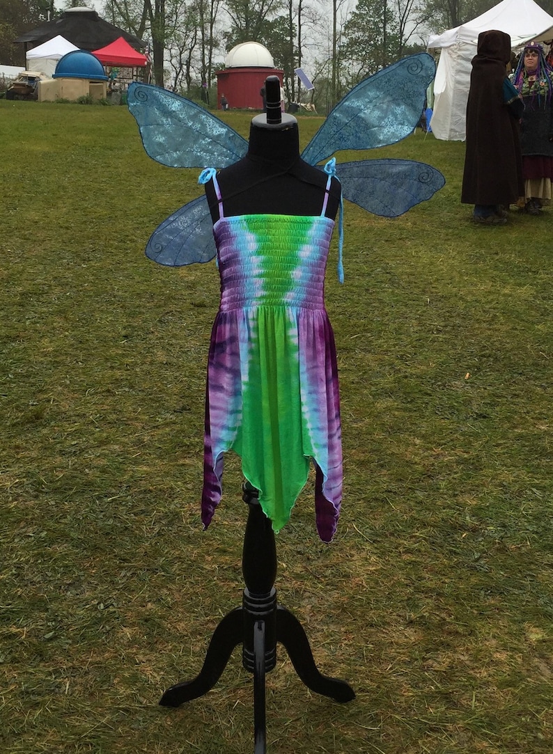 Fairy Costume for Youth and Adults Purple and Green Fairie Dress