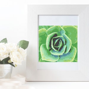 Cross stitch pattern,X stitch pattern, cactus cross stitch, floral cross stitch, modern cross stitch, modern X stitch
