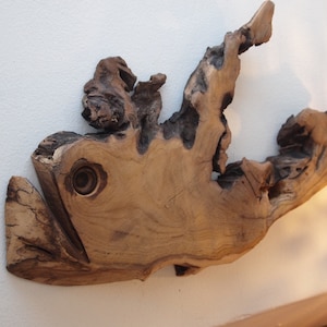 Unique Handmade Wood Sculpture Decoration Wall Art - Wooden Curly fish statue from root of mulberry tree