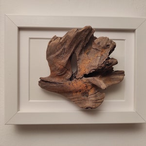 Driftwood Flower Fish 3D picture Nature Made Art Unique gift Ocean made picture Rustic decoration Home Decor Made by Sea driftwood wall art