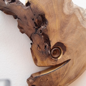Unique Handmade Wood Sculpture Decoration Wall Art - Wooden Ugly fish statue from root of mulberry tree