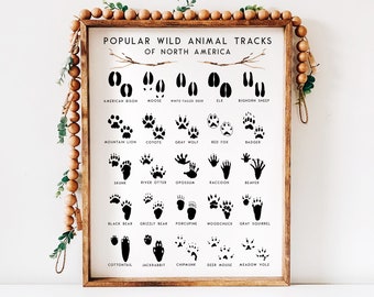 Animal Tracks Nursery Print Adventure Woodland Decor, Rustic Outdoor Boys Girls Bedroom, 11x14 or 13x19 in UNFRAMED