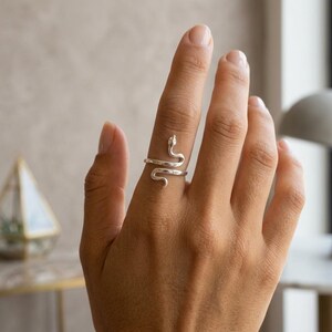 May include: A silver-toned ring shaped like a coiled snake that wraps around the finger. The metal band features a smooth, polished finish with a defined head and tail design, creating a continuous, open-ended loop that rests on the finger.