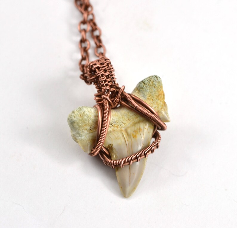 Mens Shark Tooth Necklace Copper Wire Wrap Necklace Pendant Etsy