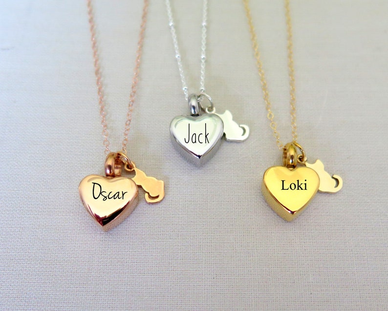 Personalized Pet Memorial Jewelry Cat Ashes Necklace, Pet Urn Necklace, Cremation Jewelry, Heart Cremation Necklace, Pet Loss Gifts, Pet Urn image 5