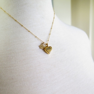 Pet Urn Necklace, Dog Ashes Necklace, Cremation Jewelry Necklace, Pet Memorial Jewelry, Personalized Gold Heart Cremation Necklace, Pet Gift image 8