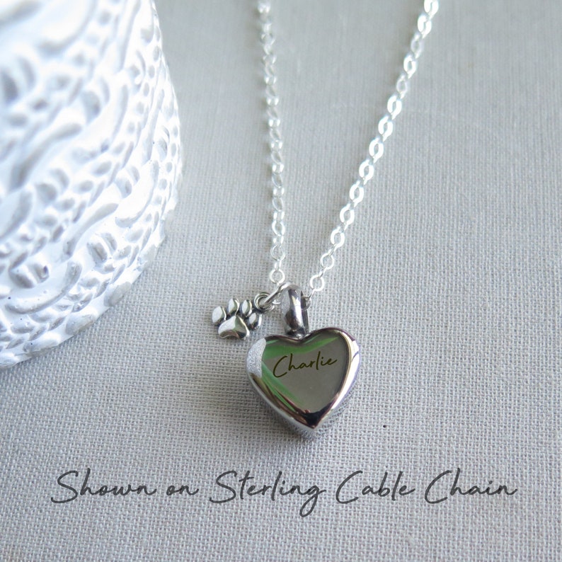 Pet Urn Necklace, Cremation Jewelry, Pet Memorial Jewelry, Heart Cremation Necklace, Pet Loss Gifts, Pet Urn Ashes, Ashes Necklace, Earrings image 6