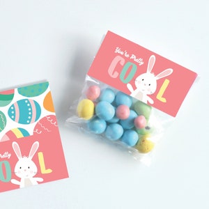 Easter Bunny Bag Topper | Easter Bunny | Easter Treat Bag | Easter Bunny Printable | Easter Party Printable | Easter Gift | Favor Tag