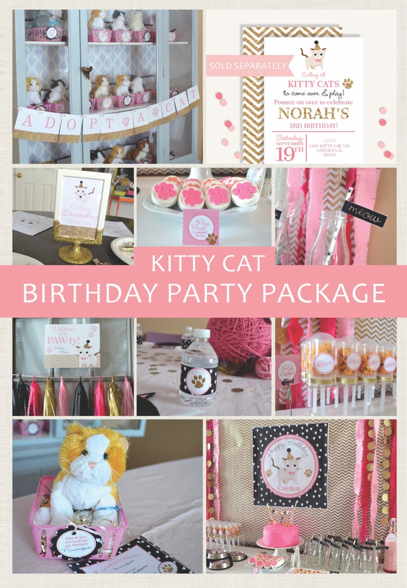 Kitty Cat Party Package Kitten Birthday Party Cat Birthday Party Cat Party Decorations Kitten Party Decorations Kitty Cat Decor image 1