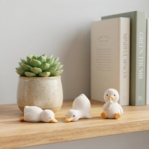 May include: A light green succulent in a speckled beige ceramic pot, accompanied by three small white duck figurines. One duck lies flat, one stretches forward, and one sits upright with a wing raised to its beak in a quiet gesture.