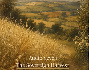 The Subconscious Slimming Method - Audio Seven - A Women's Weight Loss Audio that offers you a Change in Choice when Shopping