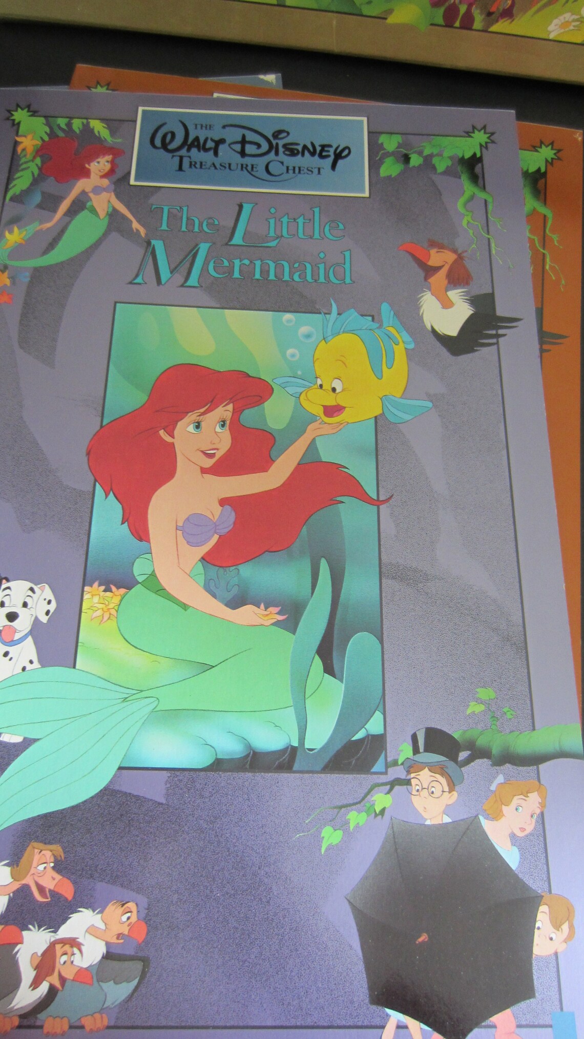 Walt Disney Treasure Chest 5 Large Format Books Beautiful Etsy