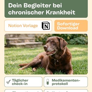 犬の健康管理プランナーNotionテンプレート、慢性疾患犬のトラッカー、投薬計画、獣医受診記録、症状と費用