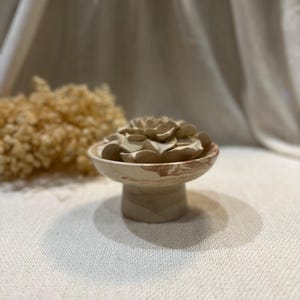 Doftande aromstensblomma i stenskål | Elegant heminredning