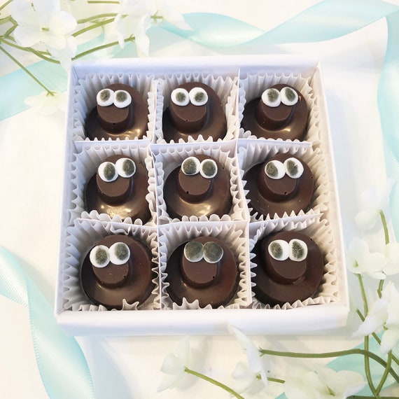 Poop Emoji Chocolates Box Of Poop Gag Gift Poop Etsy