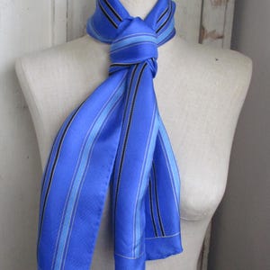May include: A vibrant blue scarf with vertical stripes in black and lighter shades of blue. The scarf is knotted and draped over a mannequin. The word "ECHO" is visible on the bottom corner of the scarf. This accessory adds a pop of color.
