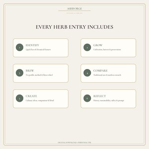 May include: A beige informational graphic titled ASHFORGE BOTANICAL LIBRARY EVERY HERB ENTRY INCLUDES. It lists six numbered sections: 1 IDENTIFY, 2 GROW, 3 BREW, 4 COMPARE, 5 CREATE, and 6 REFLECT, each with brief sub-text descriptions in dark green.