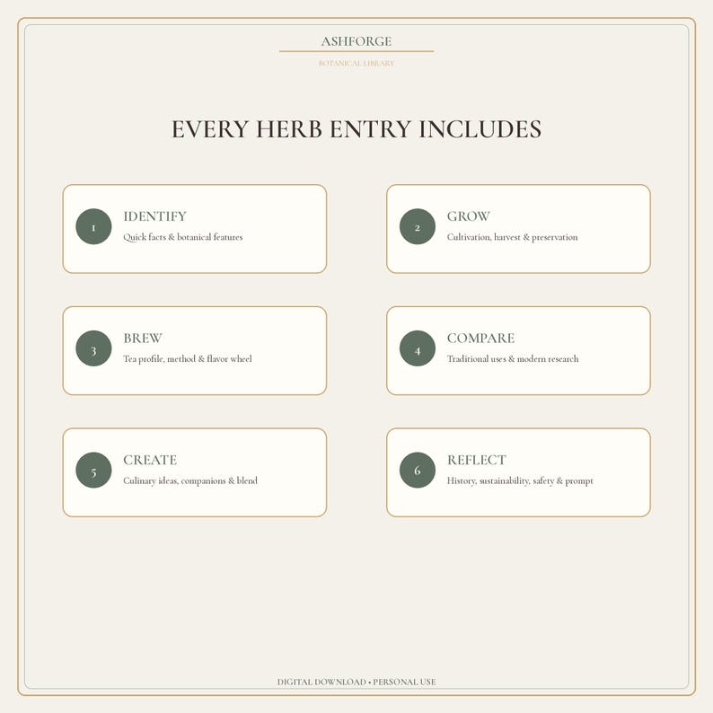 May include: A beige informational graphic titled ASHFORGE BOTANICAL LIBRARY EVERY HERB ENTRY INCLUDES. It lists six numbered sections: 1 IDENTIFY, 2 GROW, 3 BREW, 4 COMPARE, 5 CREATE, and 6 REFLECT, each with brief sub-text descriptions in dark green.