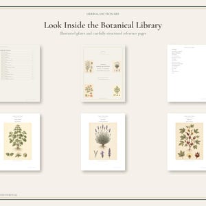 May include: A collection of six printed pages from a botanical library, featuring a table of contents, a title page titled Herbal Dictionary, and four illustrated plates depicting various herbs like lemon balm, lavender, and hibiscus.