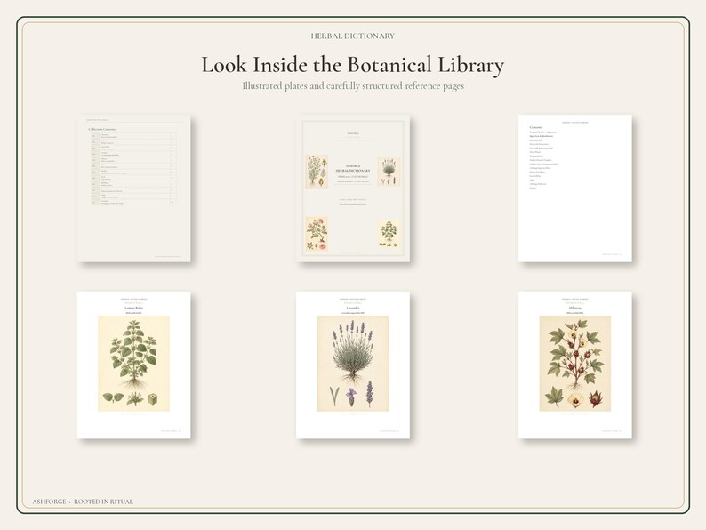 May include: A collection of six printed pages from a botanical library, featuring a table of contents, a title page titled Herbal Dictionary, and four illustrated plates depicting various herbs like lemon balm, lavender, and hibiscus.
