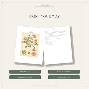 May include: A digital print guide titled ASHFORGE BOTANICAL LIBRARY PRINT YOUR WAY. It displays two open pages featuring a rose illustration and text on traditional uses. Below are four dark green buttons labeled US LETTER 8.5 x 11, COLOR OR GRAYSCALE, SINGLE-SIDED OR DUPLEX, and BINDER DISC COIL.