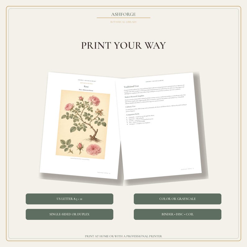 May include: A digital print guide titled ASHFORGE BOTANICAL LIBRARY PRINT YOUR WAY. It displays two open pages featuring a rose illustration and text on traditional uses. Below are four dark green buttons labeled US LETTER 8.5 x 11, COLOR OR GRAYSCALE, SINGLE-SIDED OR DUPLEX, and BINDER DISC COIL.