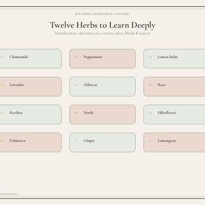May include: A cream-colored informational chart titled Twelve Herbs to Learn Deeply, featuring twelve numbered rectangular boxes in alternating pale green and soft pink. The text lists Chamomile, Peppermint, Lemon Balm, Lavender, Hibiscus, Rose, Rooibos, Nettle, Elderflower, Echinacea, Ginger, and Lemongrass.
