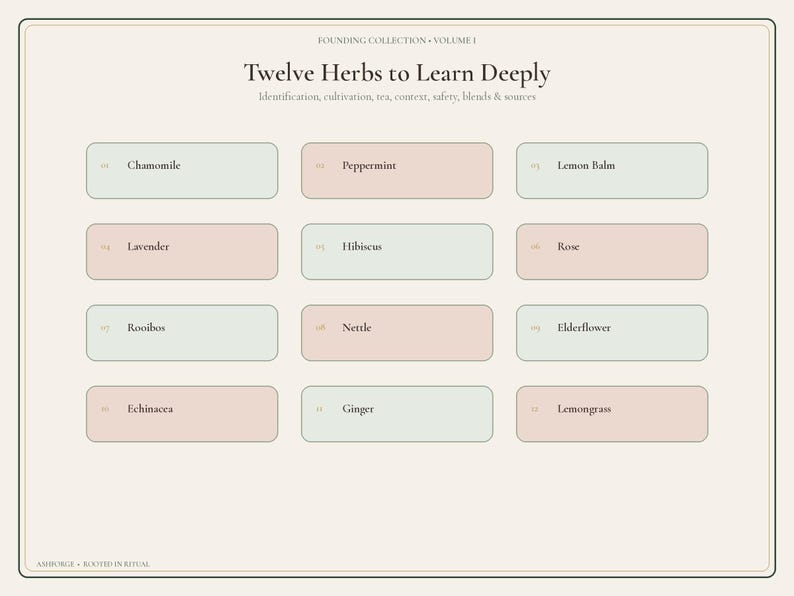 May include: A cream-colored informational chart titled Twelve Herbs to Learn Deeply, featuring twelve numbered rectangular boxes in alternating pale green and soft pink. The text lists Chamomile, Peppermint, Lemon Balm, Lavender, Hibiscus, Rose, Rooibos, Nettle, Elderflower, Echinacea, Ginger, and Lemongrass.