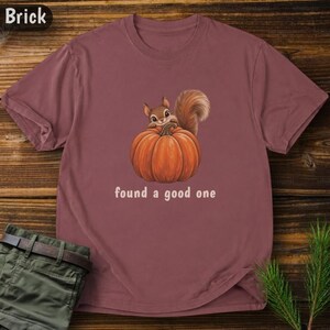 May include: A brick-colored short-sleeve t-shirt featuring a graphic of a brown squirrel sitting on top of a large orange pumpkin. Below the illustration, the text "found a good one" is printed in a simple, light-colored sans-serif font.