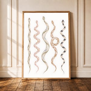 May include: A framed wall art print featuring five vertical watercolour illustrations of snakes in various shades of beige, pink, green, and black. The snakes are arranged side-by-side against a white background, each displaying a unique pattern.