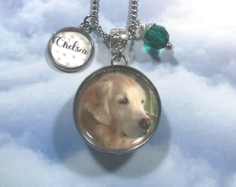 Pet Loss Memorial Locket for Hair Fur Clippings with Birthstone Charm and Optional Cremation Urn