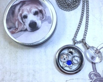 Pet Memorial and Cremation Urn Locket Pet Loss Floating Memory Locket Necklace Pet Photo Locket Necklace