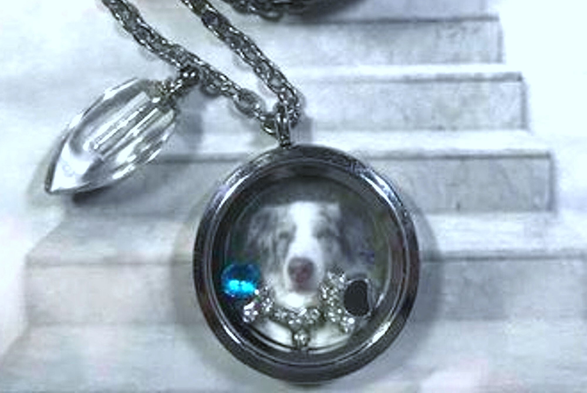 Dog Locket Etsy Canada