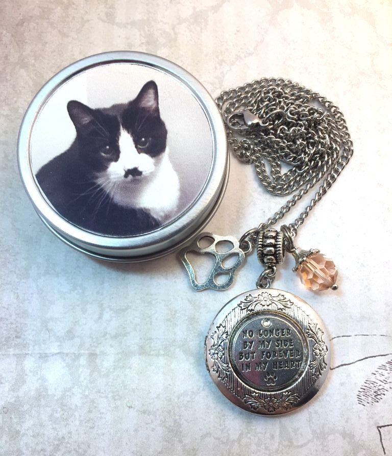 Pet Memorial Photo Locket Necklace With Birthstone Photo Etsy