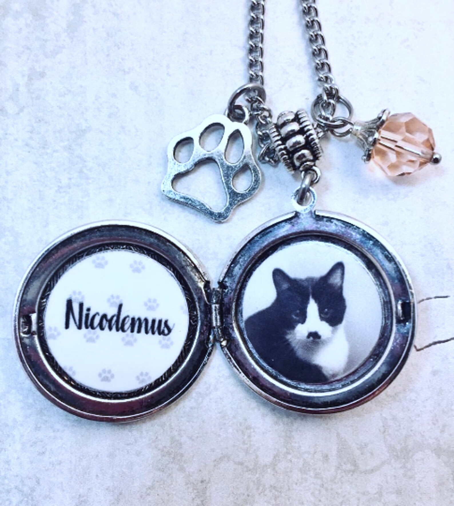 Pet Memorial Photo Locket Necklace With Birthstone Photo - Etsy