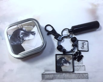 Pet Cremation Key Ring Memorial Key chain with Custom Photo and Cremation Urn,  Loss of Cat,  Loss of Dog Memory,  Ash Container