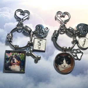 Pet Loss Key Ring with Custom Photo and Heart Cremation Urn Loss of Cat Dog Memory and Remains Vial Ash Container zdjęcie 1